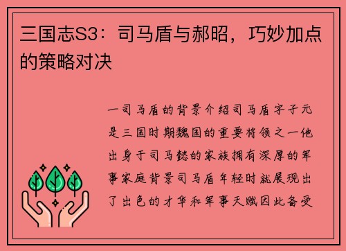 三国志S3：司马盾与郝昭，巧妙加点的策略对决